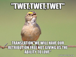 Common Opinion Sparrow