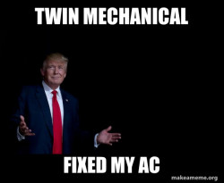 Trump Everything is FIne
