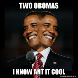 Two Faced Obama