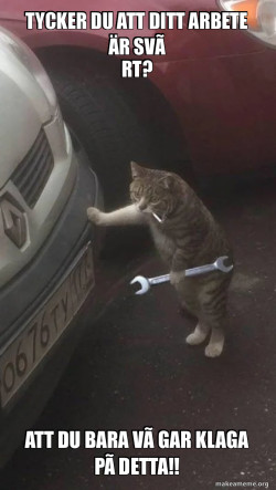 Mechanic Cat