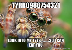 Hipster Spider