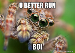 Hipster Spider