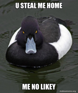 Revenge Duck ( Angry Advice Duck )