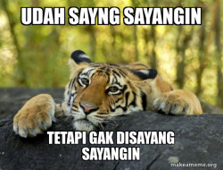 Confession Tiger