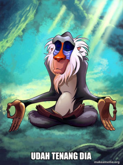 Rafiki Meditating - Lion King