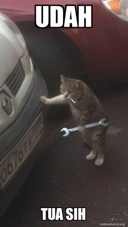 Mechanic Cat