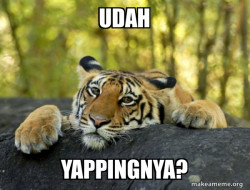 Confession Tiger