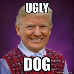 Bad Luck Trump