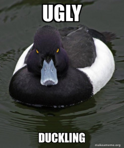Revenge Duck ( Angry Advice Duck )