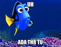 Dory from Nemo  (5 second memory)