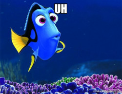 Dory from Nemo  (5 second memory)