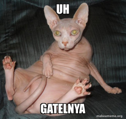Hairless Cat
