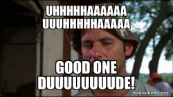 Bill Murry Caddyshack (So I got that going for me)