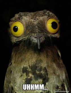 Weird Stuff I do Potoo
