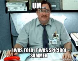 spici boi summer