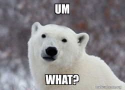 Popular Opinion Polar Bear