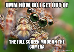 Hipster Spider