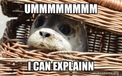 hungry seal