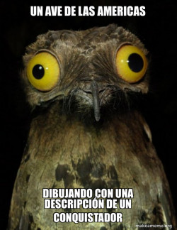 meme