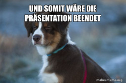 Unsure Dog