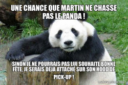 Confession Panda