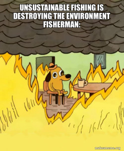 This Is Fine
