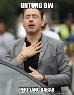 Tony Stark Relief