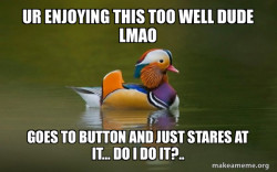 Fashionable Advice Mallard