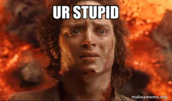 Frodo it's over it's done