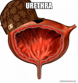 Scumbag Bladder
