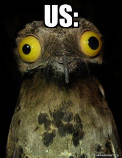Weird Stuff I do Potoo