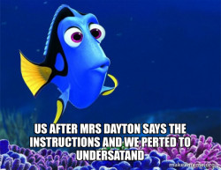 Dory from Nemo  (5 second memory)