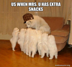 Scumbag Storytelling Dog