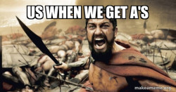 The 300