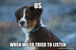 Unsure Dog