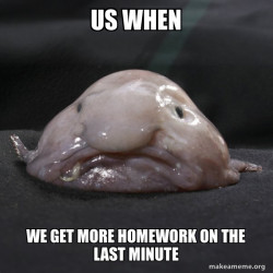 Blobfish