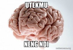 Scumbag Brain