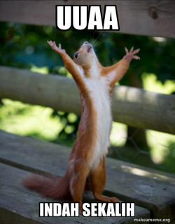Happy Squirrel