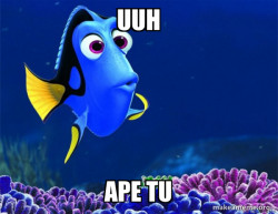 Dory from Nemo  (5 second memory)