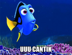Dory from Nemo  (5 second memory)