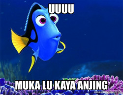 Dory from Nemo  (5 second memory