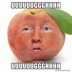 Impeached Donald Trump