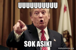 Donald Trump Says