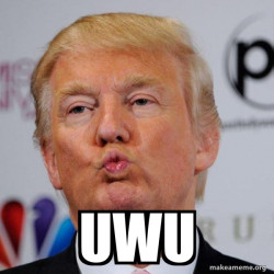 Donald Trump Kissing