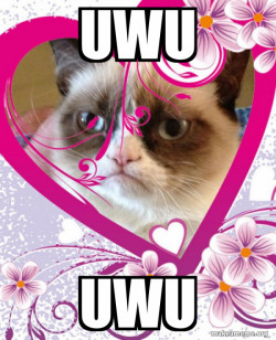 Grumpy cat Valentines Day