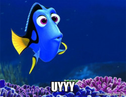 Dory from Nemo  (5 second memory)