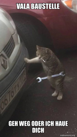Mechanic Cat