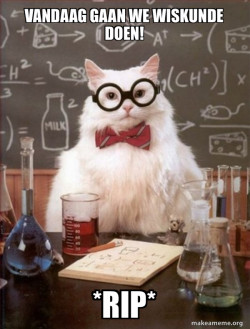 Chemistry Cat