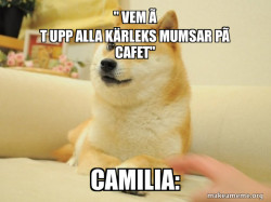 Doge