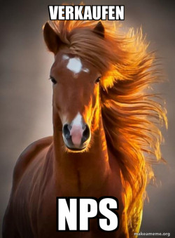 Ridiculously photogenic horse